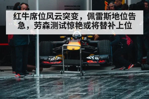 Red Bull racing team